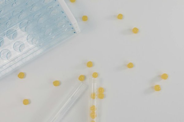 What Are the Best Low-Impact Exercises for Seniors with Arthritic Knees?